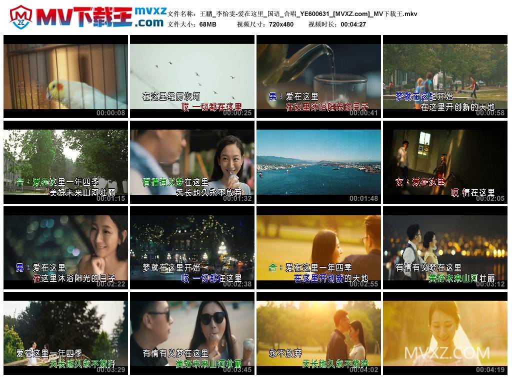 王鹏_李怡雯-爱在这里_国语_合唱_YE600631